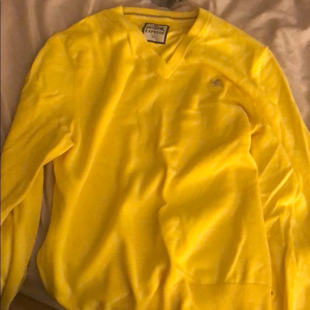 Express v neck sweater